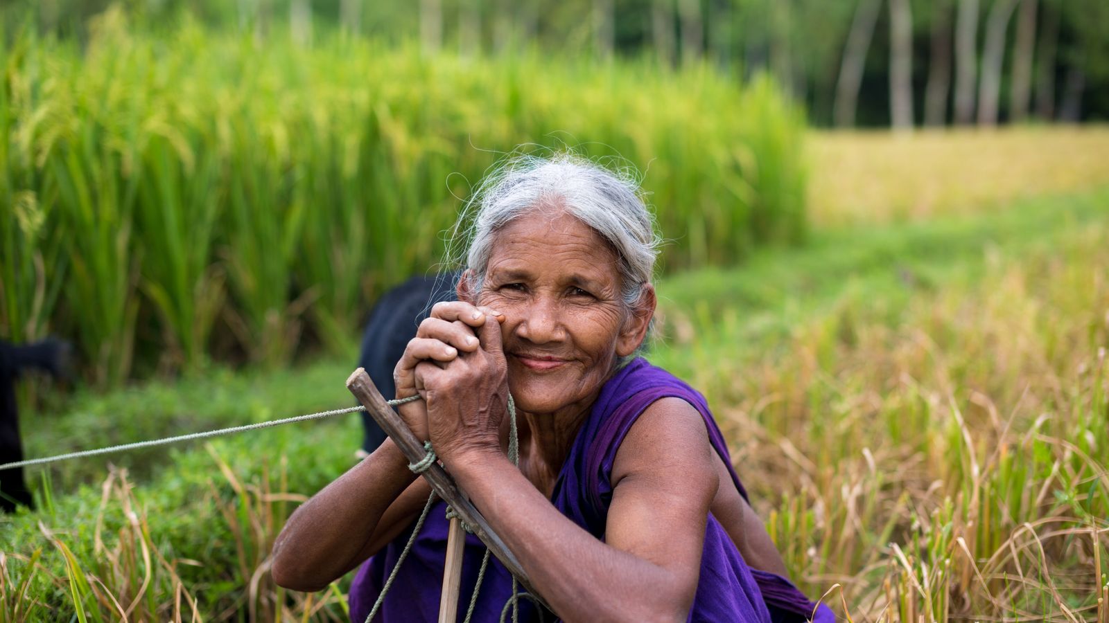 Aposentadoria rural: quem tem direito e como comprovar o trabalho no campo?